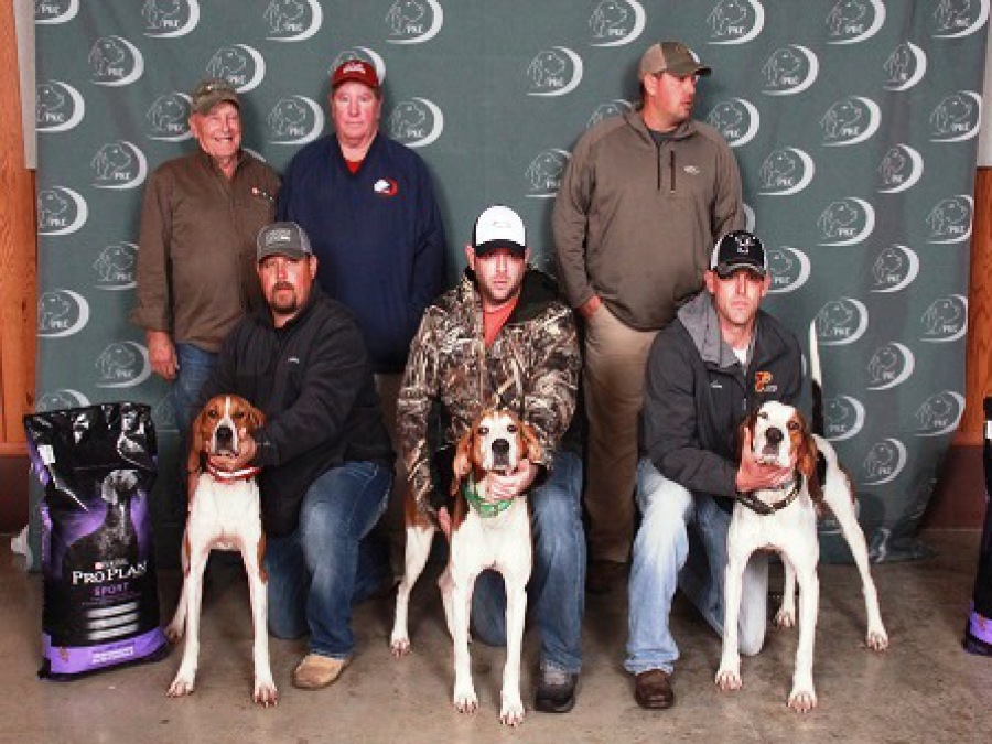 pkc beagles